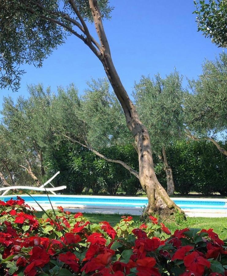 Villa Tamaris Макарска Екстериор снимка